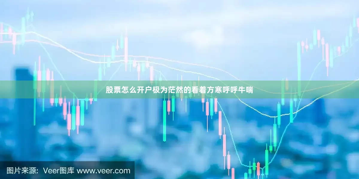 股票怎么开户极为茫然的看着方寒呼呼牛喘