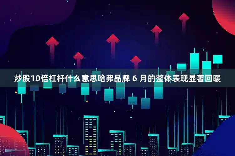 炒股10倍杠杆什么意思哈弗品牌 6 月的整体表现显著回暖